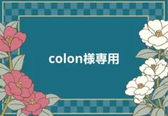 colon様専用ページ