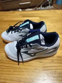 Mizuno バレーボールシューズ