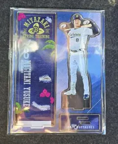 Item thumbnail for item f88de882-1e41-4f85-b979-85f3235a0838