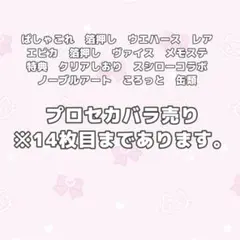 プロセカ　バラ売り　まとめ売り　ぱしゃこれ　ウエハース　缶バッジ　ノーブルアート