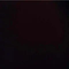 しょうご様専用