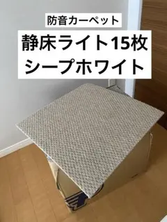 2026年最新】静床ライト 中古の人気アイテム - メルカリ