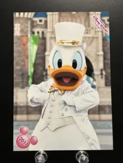 TDL ディズニー スペフォ