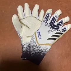 Item thumbnail for item 1dd37451-b4d4-4f65-9843-7dd35886901c