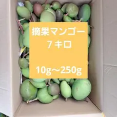 摘果マンゴー　7kg 摘果マンゴー7kg - メルカリ