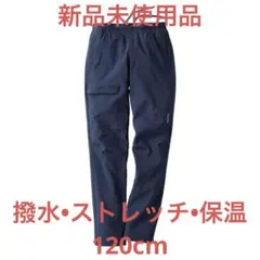 Item thumbnail for item 167b787b-521e-4776-bccf-3fad77c49334