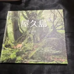 Item thumbnail for item fdb3eba1-456f-4368-8a9a-c2cf1b3998f7