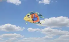 Item thumbnail for item d24deb27-d3b3-4933-a578-6f57c0aadcef