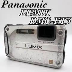 Item thumbnail for item dde2cb53-9740-4978-b3a9-b50bab41cf84