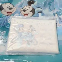 ディズニー 25周年 スパークリングジュビリー スーベニア シーズニング