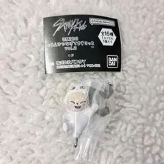 Straykids SKZOO つまんでつなげてますこっと アイエン