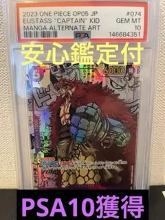 2026年最新】キッド コミパラの人気アイテム - メルカリ