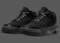 Nike Air Jordan 3 Retro 