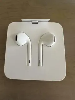 新品未使用アップル　ライトニング　イヤホン Appleの純正品