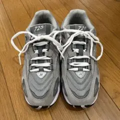 Item thumbnail for item 9f04cc86-9be2-4f13-9761-3528020447c9