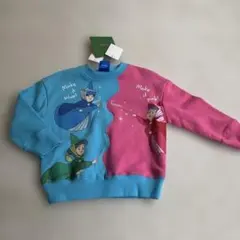 Item thumbnail for item aed9a34a-362d-43d2-8c58-d3eb3a13de2c