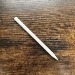 Apple Pencil (USB-C)箱付き