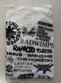 【新品未使用】SUMMER SONIC 2019 Tシャツ XXXL