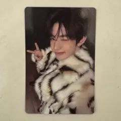 ジャンハオ SEEKver 封入トレカ zb1