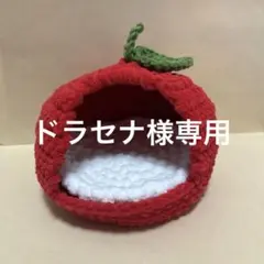 ドラセナ様専用 りんごのバードハウス　モールヤーン