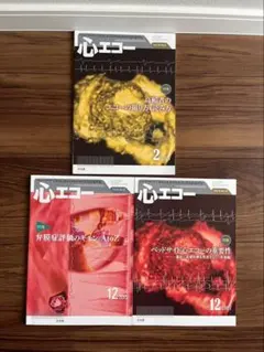 文光堂　心エコー3冊セット　医療雑誌