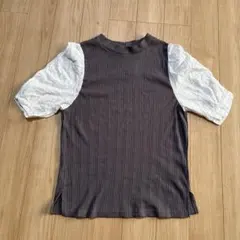 しまむら　 半袖トップス ダークブラウン・ホワイト