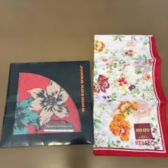 Item thumbnail for item 401a9dd5-9041-416d-914f-8e3ea915e44c