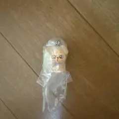 Stray Kids スキズ　めじるしアクセサリー　パピーム　スンミン