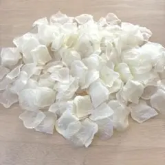 Item thumbnail for item b73ad937-e0c4-45a8-a433-d1ffc0893192