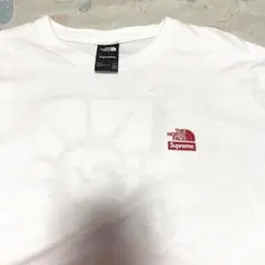 The North FacexSupremeNT819051 Ｌサイズ