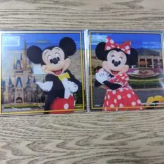 東京ディズニーリゾート ミッキー ミニー 色紙