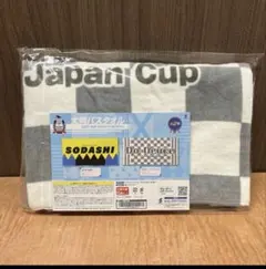 ソダシ 2020 阪神ジュベナイルフィリーズ 現地 単勝 的中 馬券 阪神JF