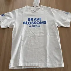 M カンタベリー ラグビー Tシャツ RA33778　日本代表　ホワイト