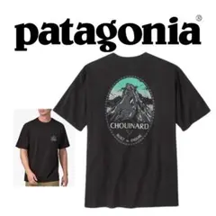 新品 未使用 Patagonia ポケット付きTシャツ ポケT ブラック M