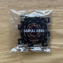 Item thumbnail for item 9c4d078d-76f7-4299-b76a-d59b16356b2f