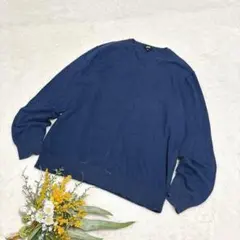 【ユニクロ】UNIQLO メンズ ウォッシャブルVネックセーター ブルー L ●