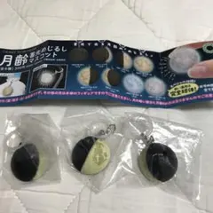 【３個セット】 月齢 畜光めじるし マスコット
