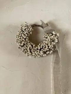 アルル♪♪様専用 ドライフラワー つぶつぶリース2点