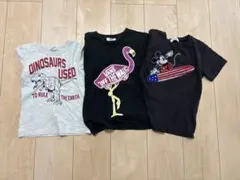 ミッキーマウス・フラミンゴ・恐竜Tシャツセット