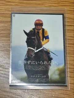 2025年最新】ステイゴールド 競馬の人気アイテム - メルカリ