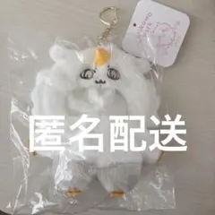 新品⭐️ ちいかわパーク マスコットサイズな着ぐるみ あのこ