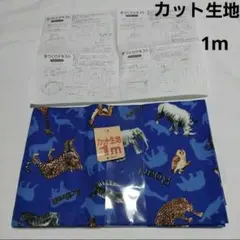 Item thumbnail for item 42b4bbe8-0e76-43dc-85f0-1ebd331fd6e2