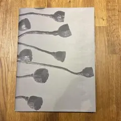 Item thumbnail for item dae02bc0-cbae-4cdb-a238-411844eee133