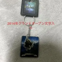 Item thumbnail for item d5d6420c-480c-4e91-81af-f6b4d8d8655e