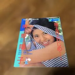 南野陽子フォトグラフィックマガジン