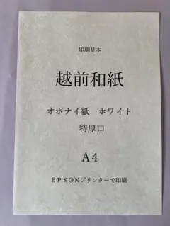 Item thumbnail for item b6abafc7-d63b-41b4-876b-96f967070645