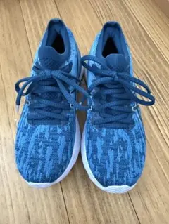 Item thumbnail for item 31b9415f-9a6b-43f5-ae1a-00f36aa2af92