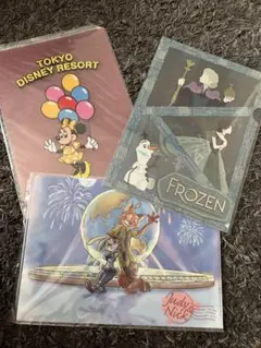 東京ディズニーリゾート 劇団四季アナ雪　クリアファイル セット