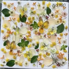 No,190 特小小花ミックス　ドライフラワー花材