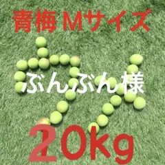156 ぶんぶん様　青梅　Mサイズ　20kg